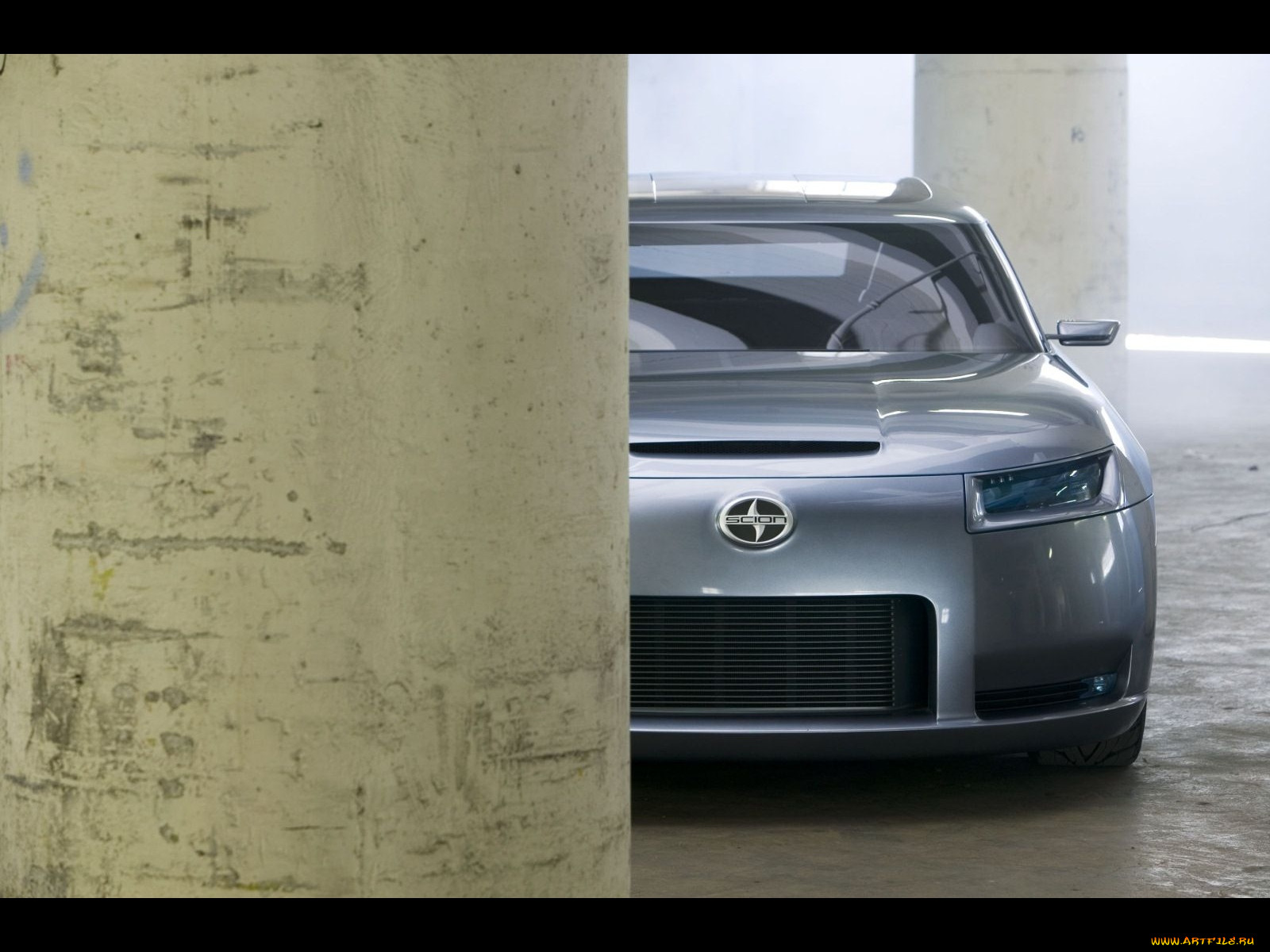 , scion